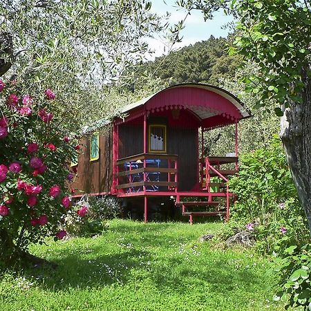 Azienda Agricola Della Mezzaluna Stiava Εξωτερικό φωτογραφία