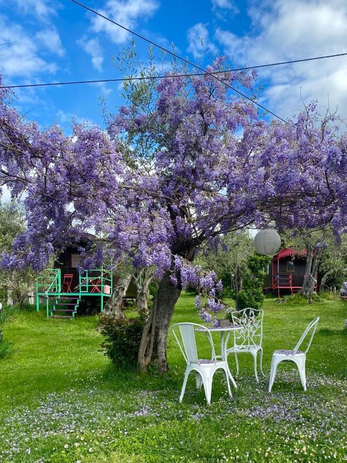 Azienda Agricola Della Mezzaluna Stiava Εξωτερικό φωτογραφία